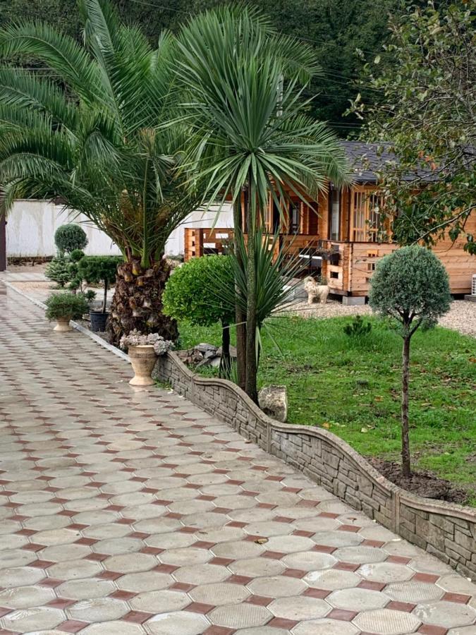 Villa Olginka Gagra Exterior foto