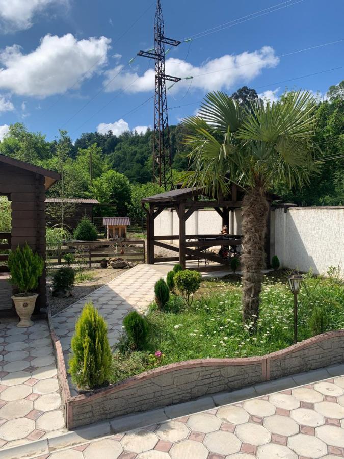 Villa Olginka Gagra Exterior foto